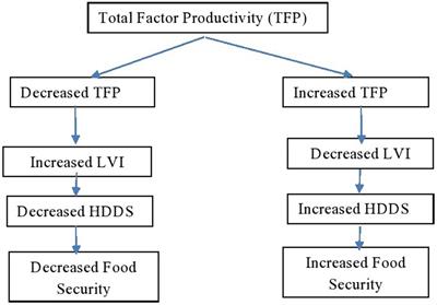 The effect of total factor productivity on the food security and livelihood vulnerability of farm households in Bangladesh